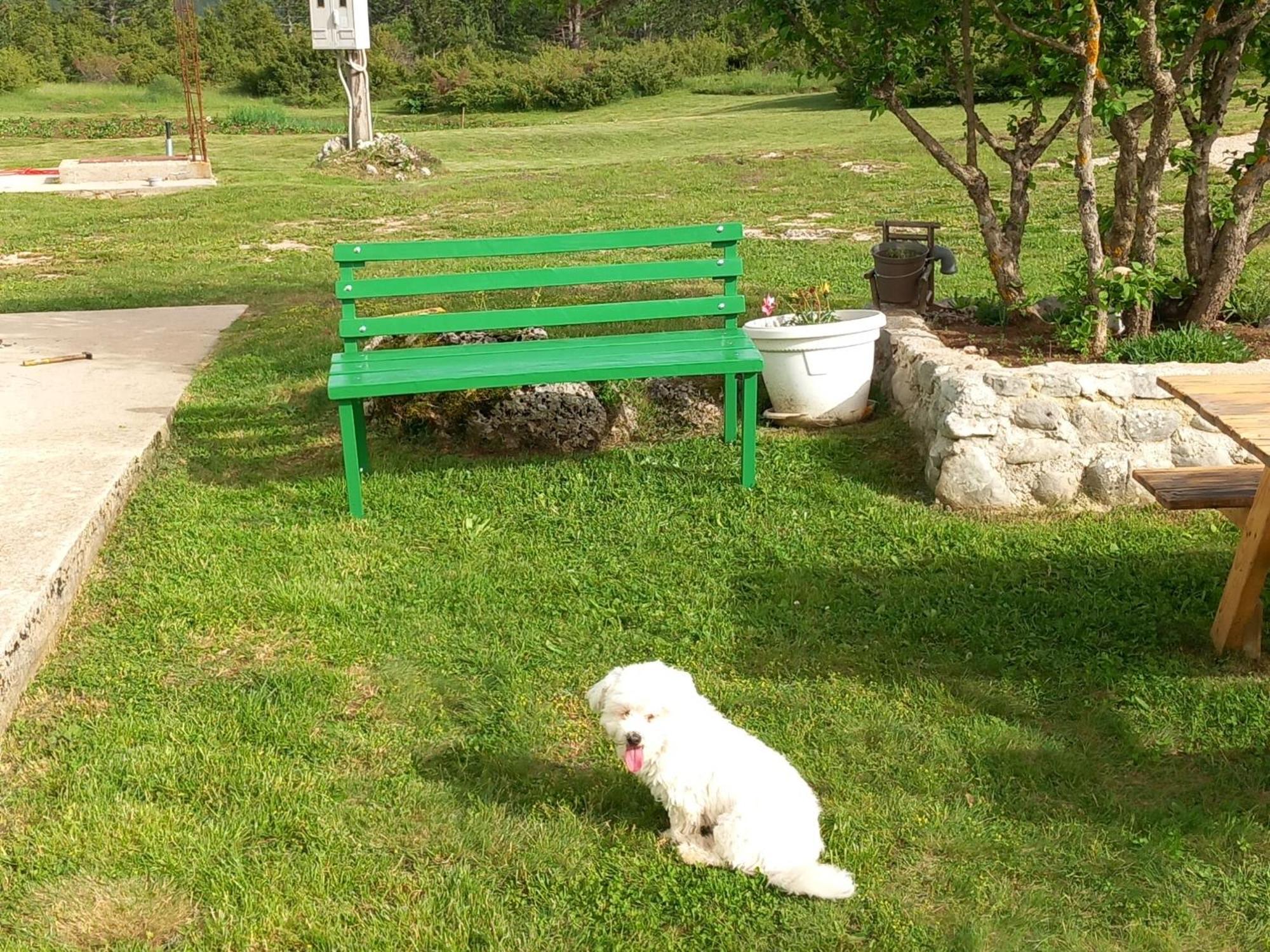 Green Cottage Blidinje Exterior photo